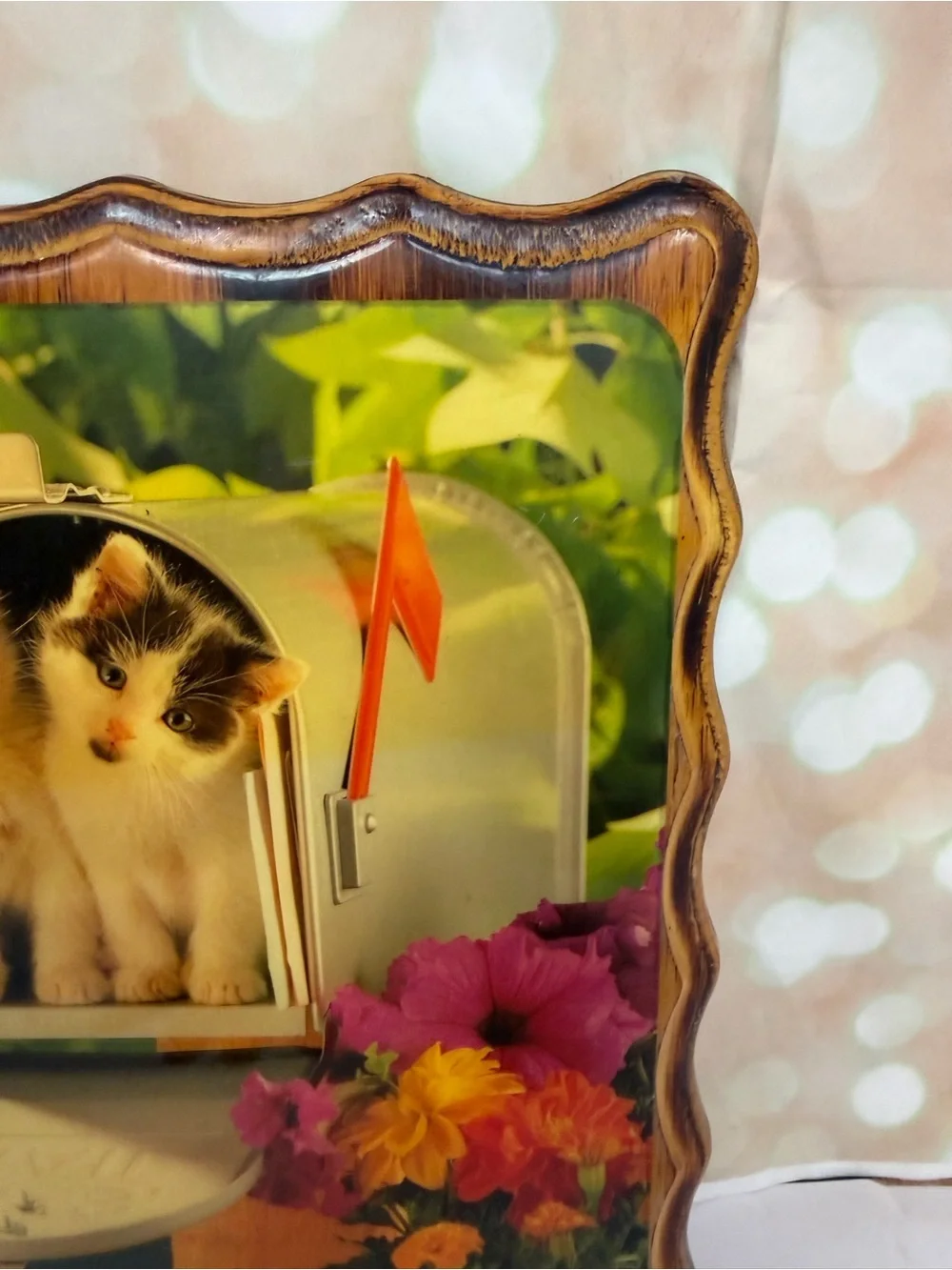 Vintage 80s/90s Kittens In A Mailbox Picture